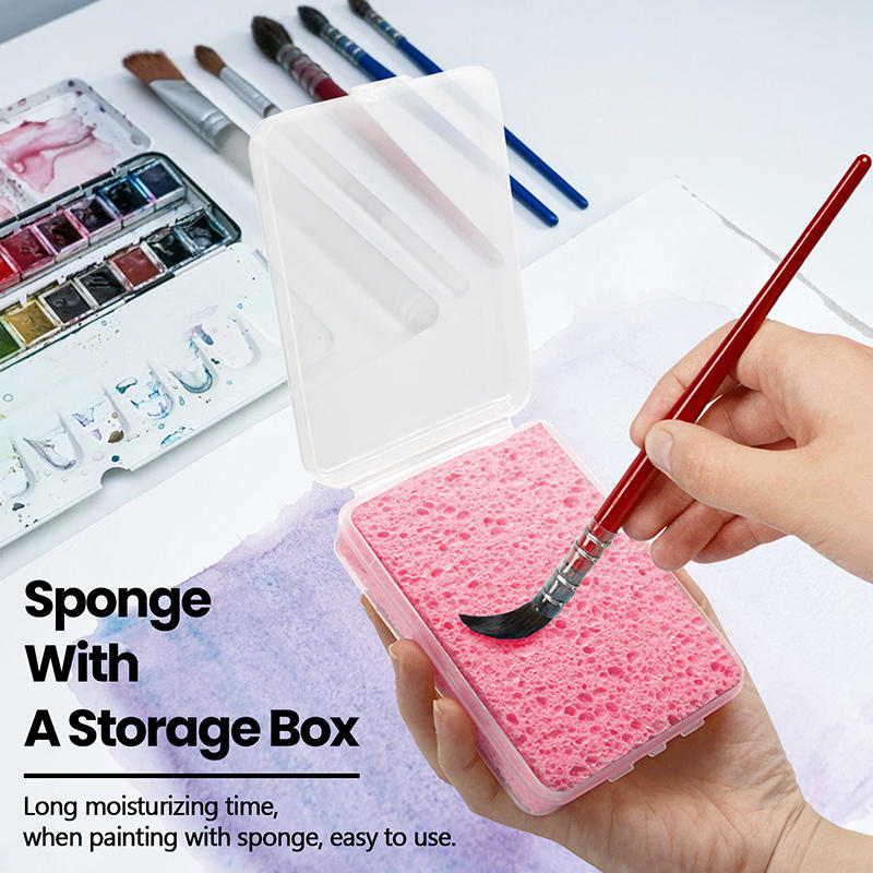 Kutulu Suluboya Pigment Boyama - Eco Sponge incelemesi ve fiyatı