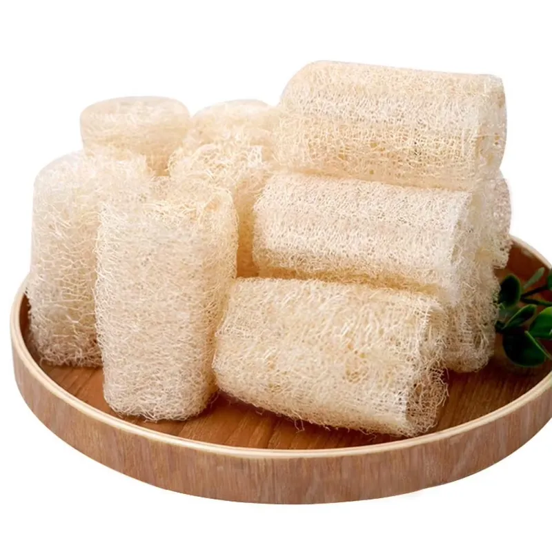 2026 En Yeni Doğal Lif Sünger  - Eco Sponge incelemesi ve fiyatı